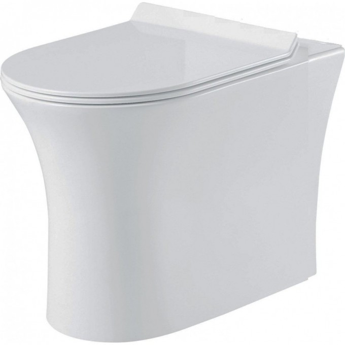 Унитаз приставной BELBAGNO BB1224CBR-P